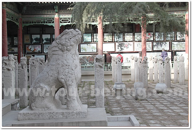 Forest of Stone Steles Museum Xian